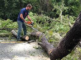 Leaf Removal in Salem, MO